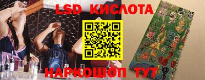 крисы Братск