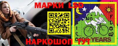 крисы Братск